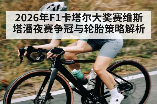 2026年F1卡塔尔大奖赛维斯塔潘夜赛争冠与轮胎策略解析（kaiyun）
